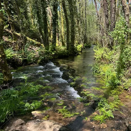 Luar Do Sarela Affittacamere Conjo