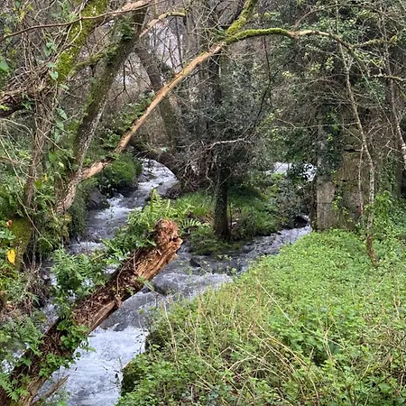 Luar Do Sarela Affittacamere 4*